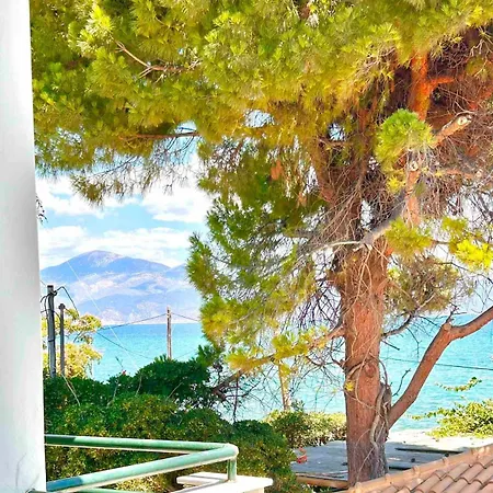 Pelagos * Aigio